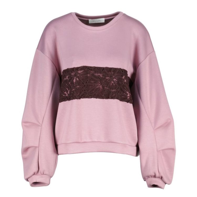 CERIGNOLA PINK
