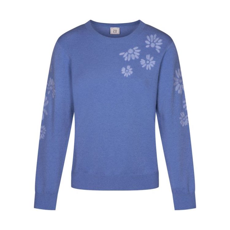 DELONIX BLUE